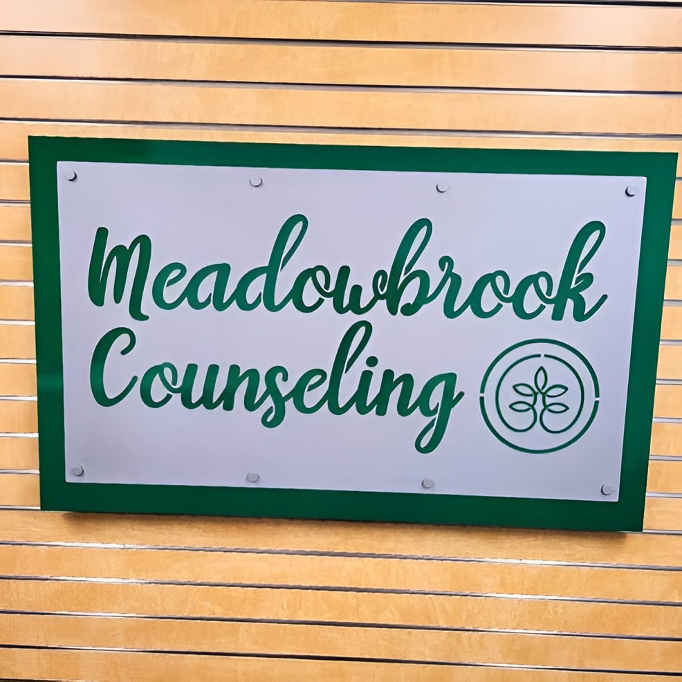 Professional aluminum storefront sign with backplate, “Meadowbrook Counseling” logo display, custom business signage on rustic wood wall.