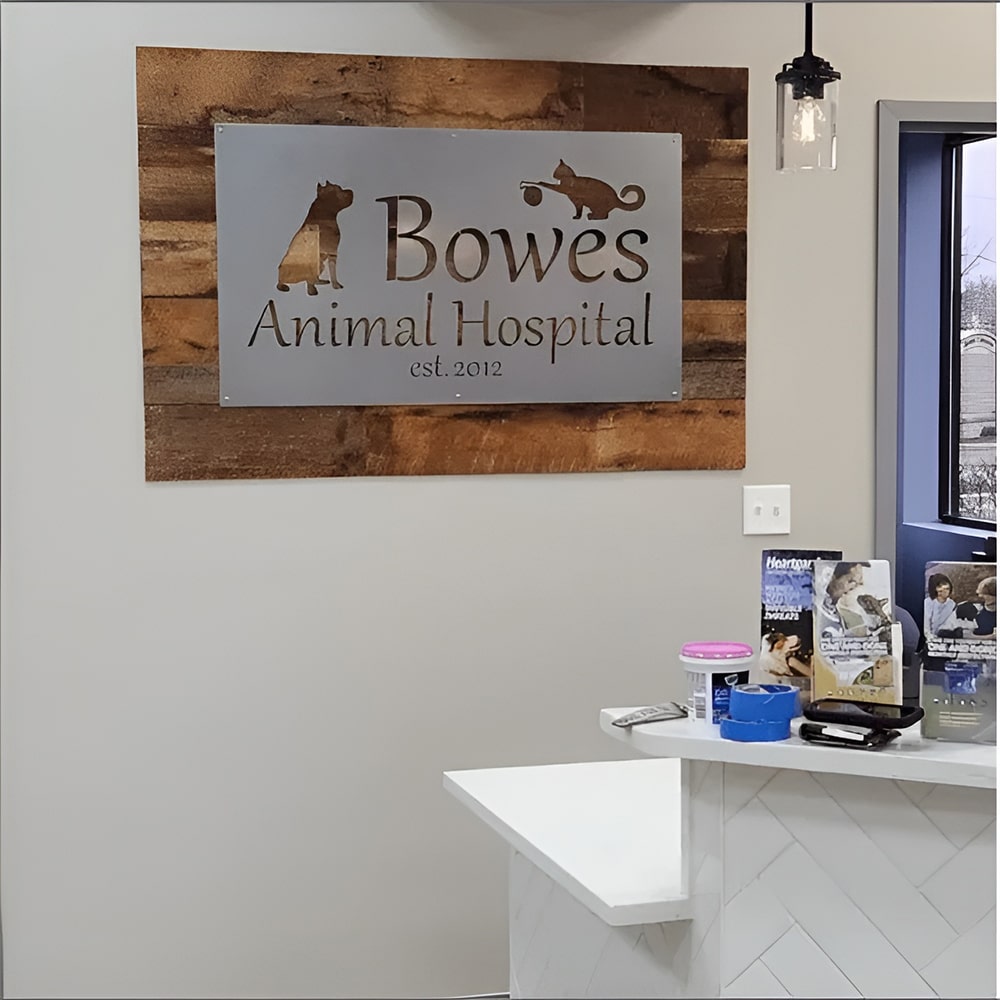 Custom metal office and storefront sign with laser-cut “Bowes Animal Hospital” logo, steel wall décor in a veterinary office reception area.
