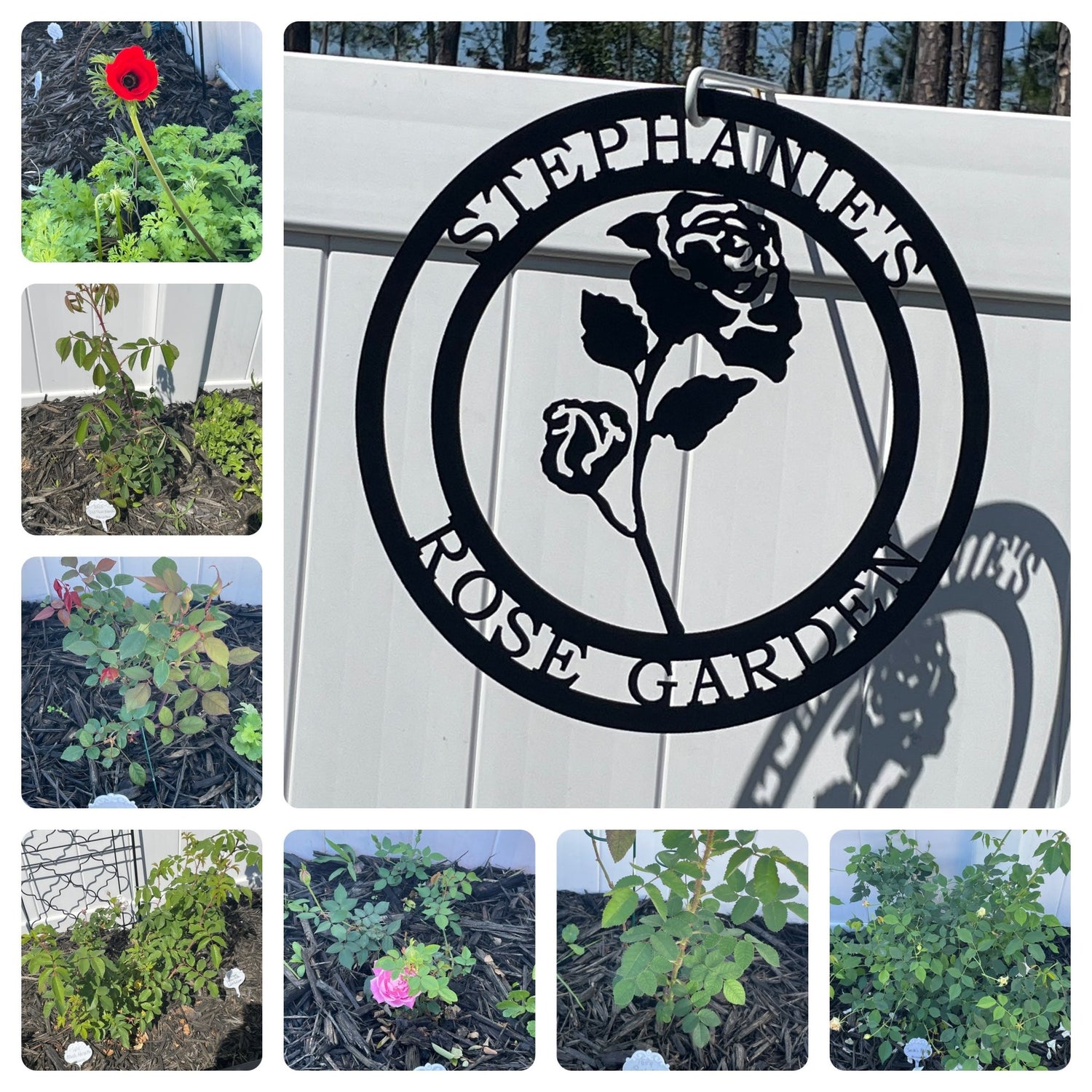 Garden & Yard Decor - HouseSensationsArt