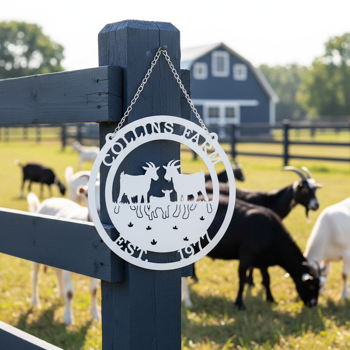 Black Collins Farm goat metal sign hanging from wooden post with goats eating hay near barn
