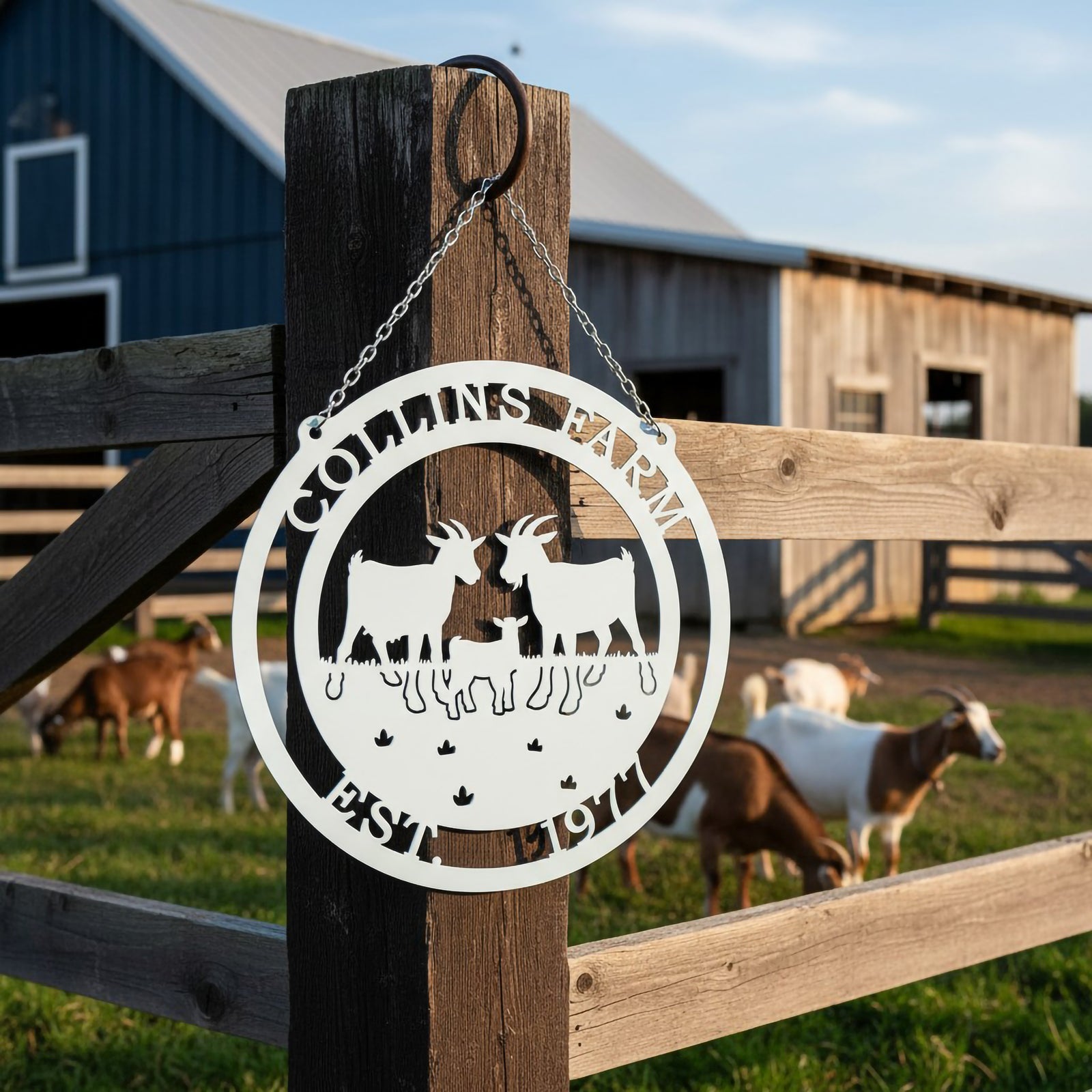 White Collins Farm goat metal sign hanging on fence post with goats grazing in sunny farm field