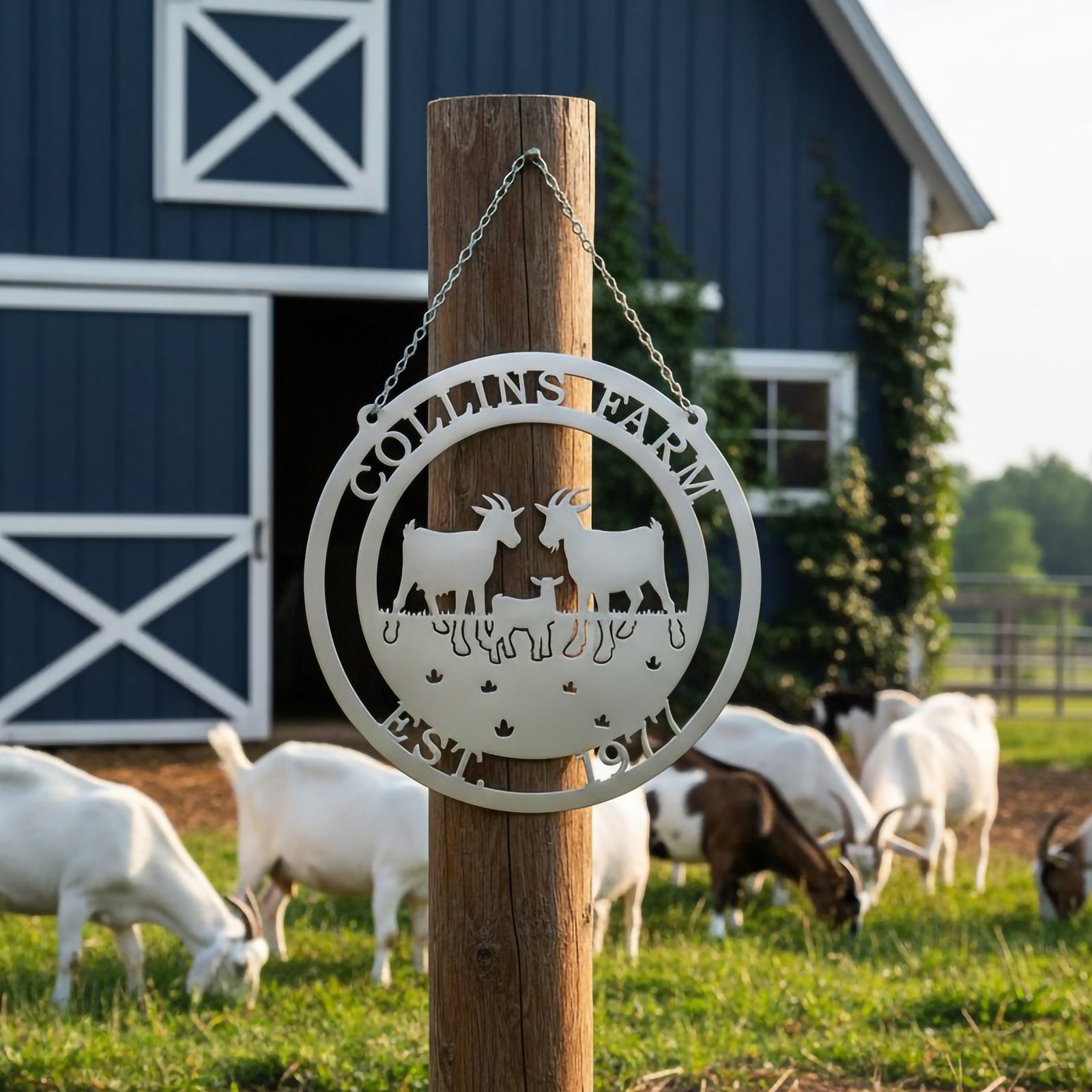 White Collins Farm goat metal sign hanging from wooden post with goats grazing near blue barn
