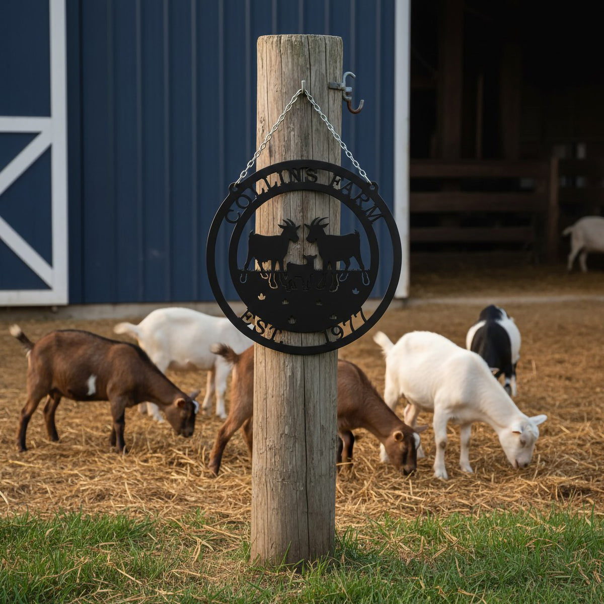 Black Collins Farm round goat metal sign hanging on wood post with goats and barn in farm setting