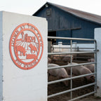 Coral pink pig farm metal sign displayed on a white outdoor farm wall near a pig pen
