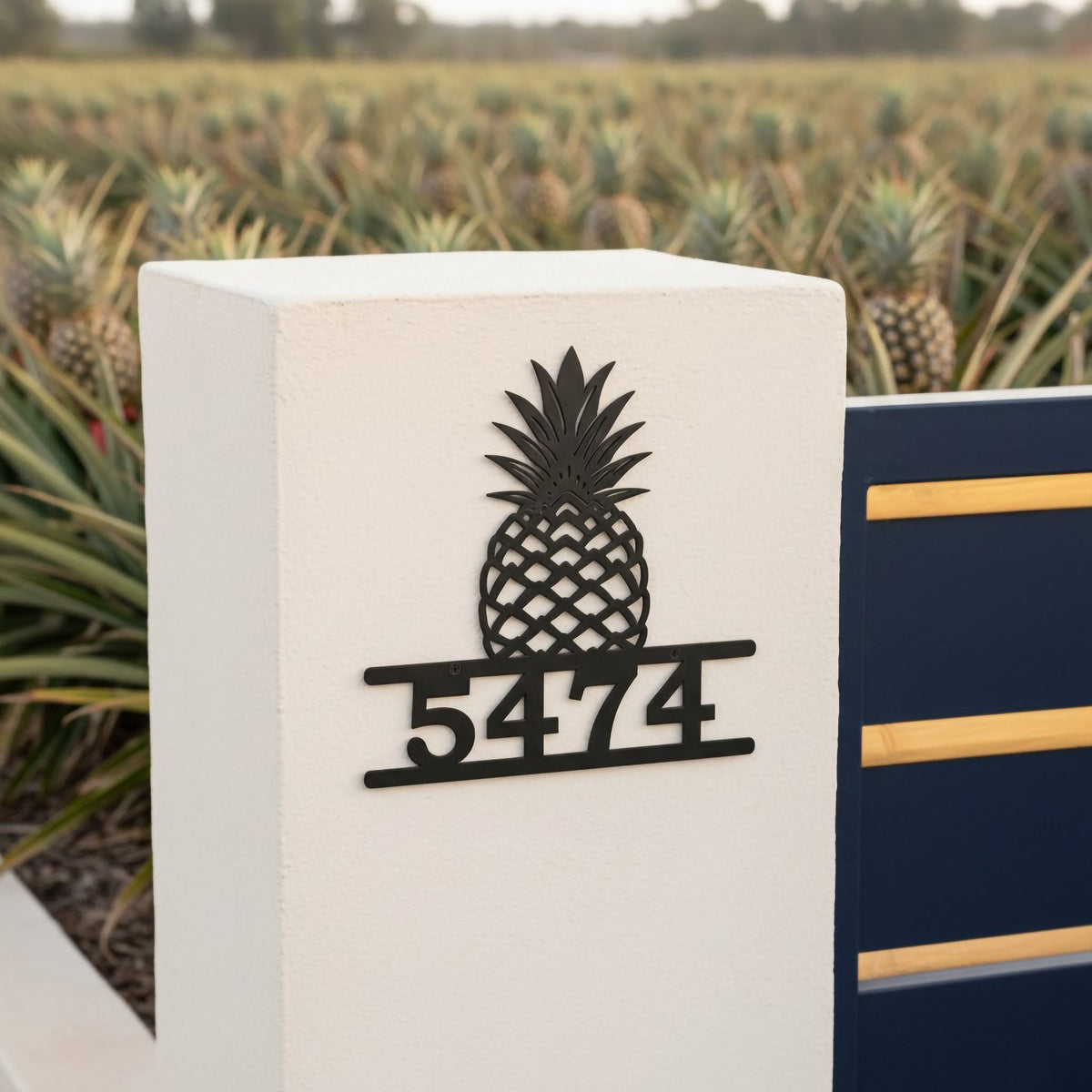 Satin black pineapple house number sign with address 5474 mounted on a white stucco gate post near a pineapple field