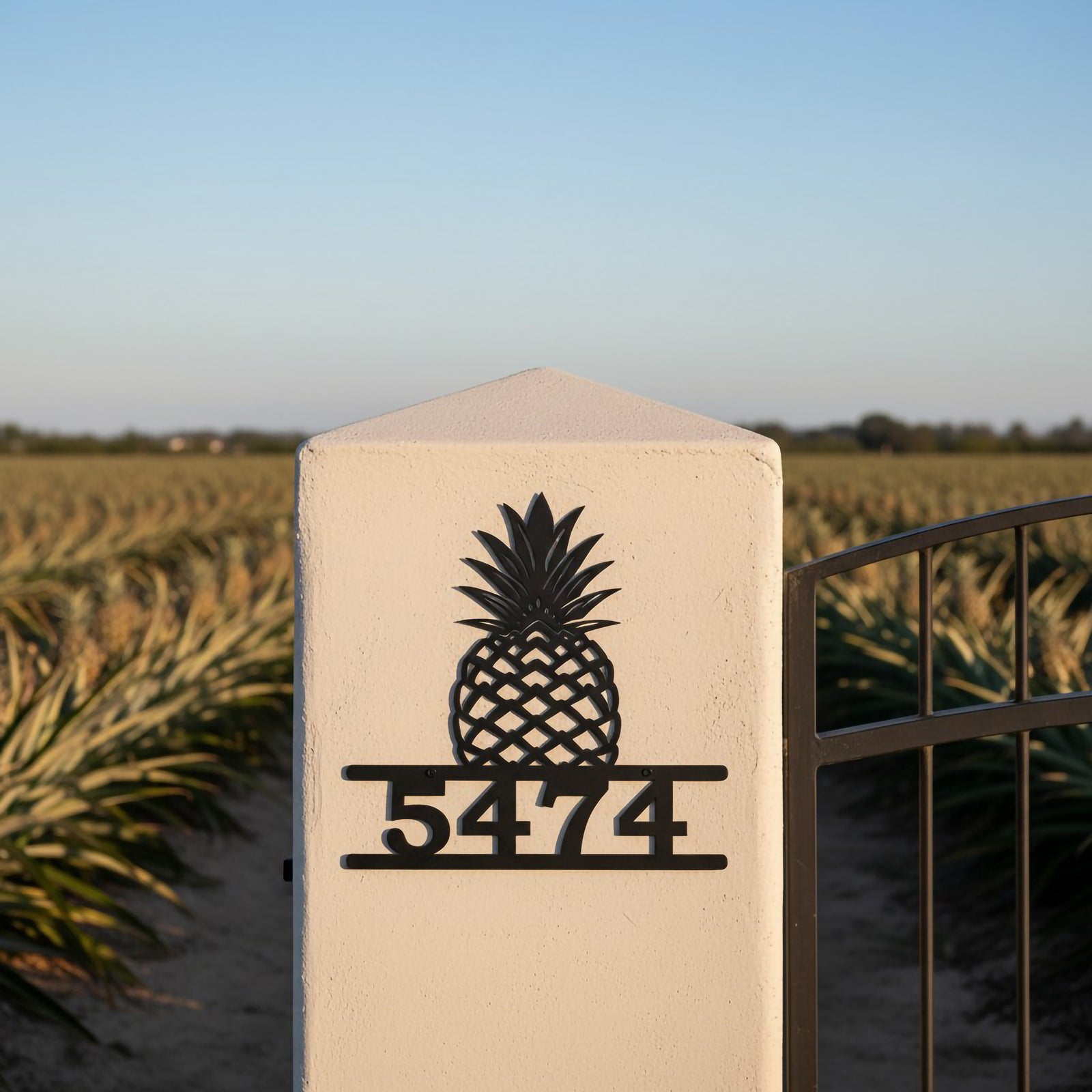 Satin black pineapple address sign with number 5474 mounted on a white gate pillar in front of a pineapple field
