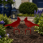 Deep red cardinal metal yard stakes placed in garden mulch near front porch flowers and greenery
