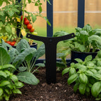 A matte black T-shaped metal garden marker with curved arms stuck into the soil of a blue fabric grow bag filled with leafy green carrot tops inside a greenhouse.