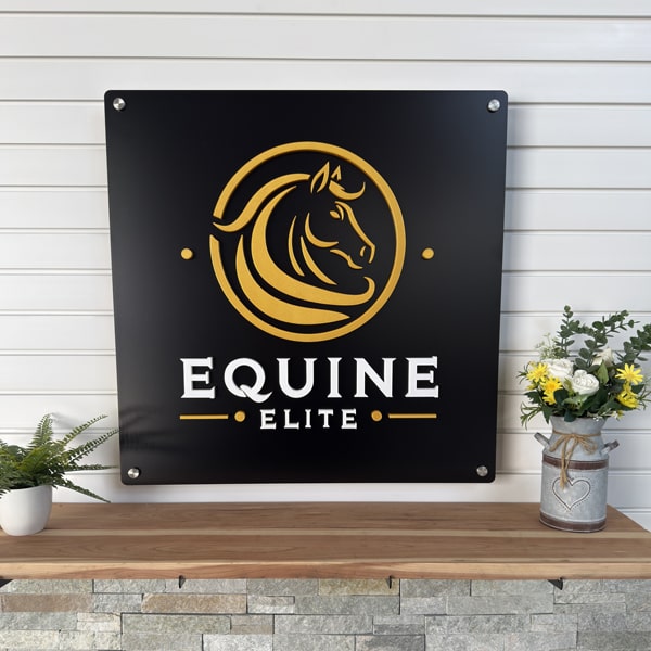 Liquid error (sections/main-product-new line 1393): input to image_tag must be an image_url