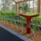 A deep red metal T-shaped garden label standing prominently in a neat row of growing red onions inside a wooden greenhouse raised bed.