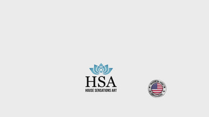 House Sensation Art Video