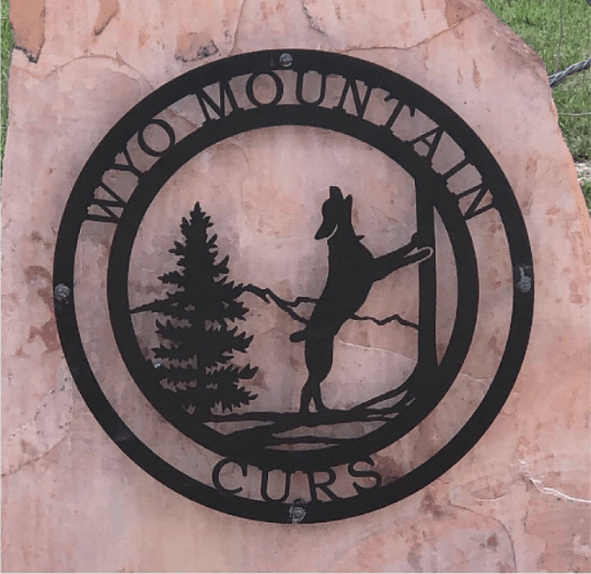 Custom Treeing Coonhound Sign – Rustic Dog Decor for Pet Owners - HouseSensationsArt