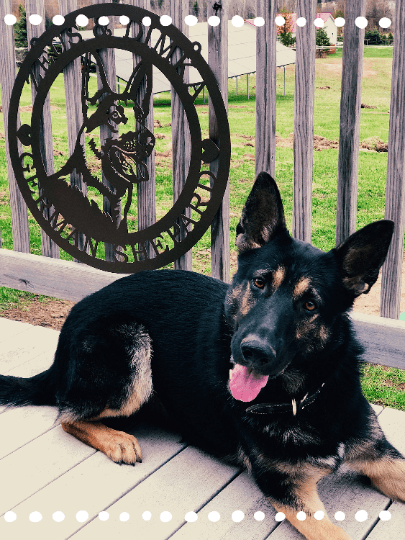 German Shepherd Established Sign – Custom Metal House Numbers & Animal Name Sign – Weather - Resistant Outdoor Address Signs for Housewarming Gift - HouseSensationsArt